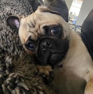 Meet your Posher, Jon